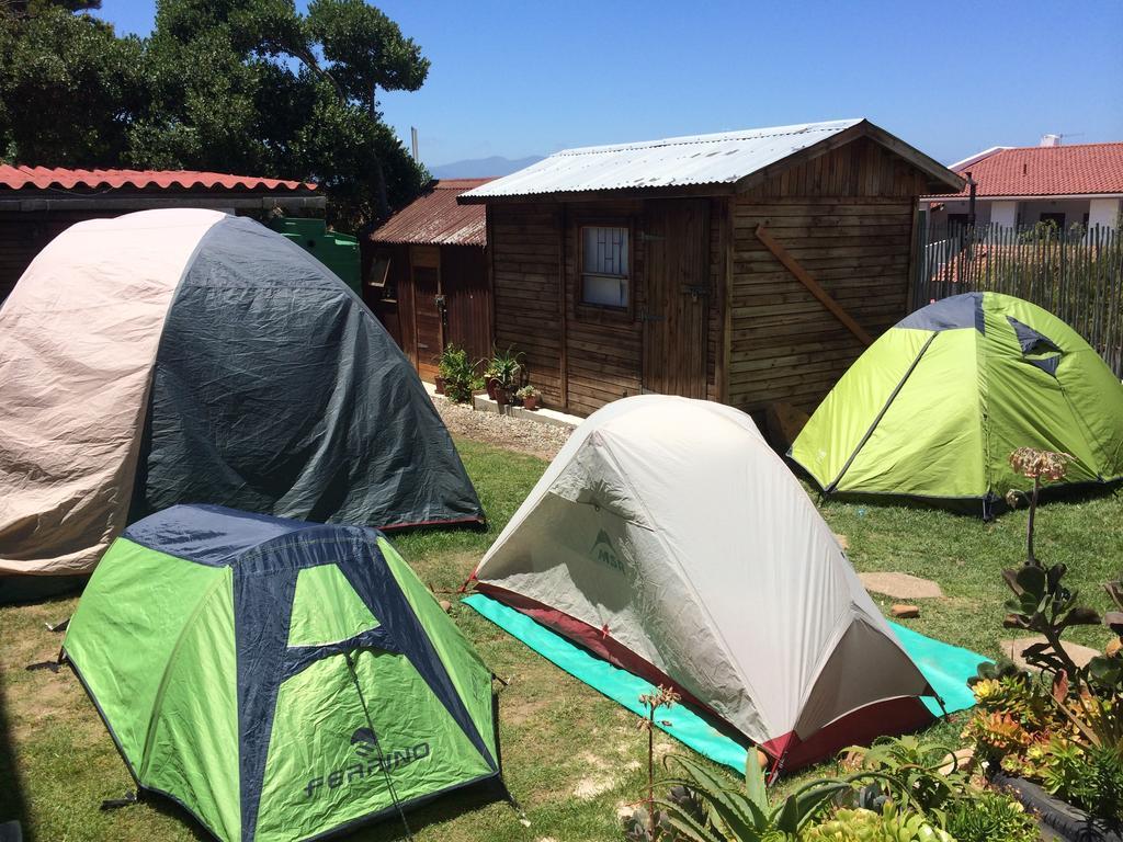 Albergo For Backpackers بليتنبيرغ باي المظهر الخارجي الصورة