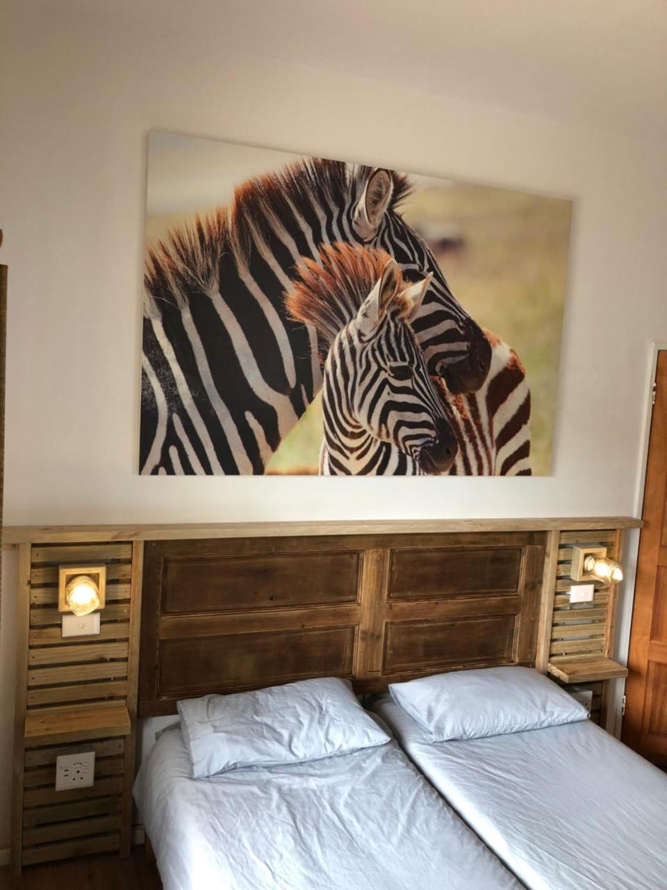Albergo For Backpackers بليتنبيرغ باي المظهر الخارجي الصورة