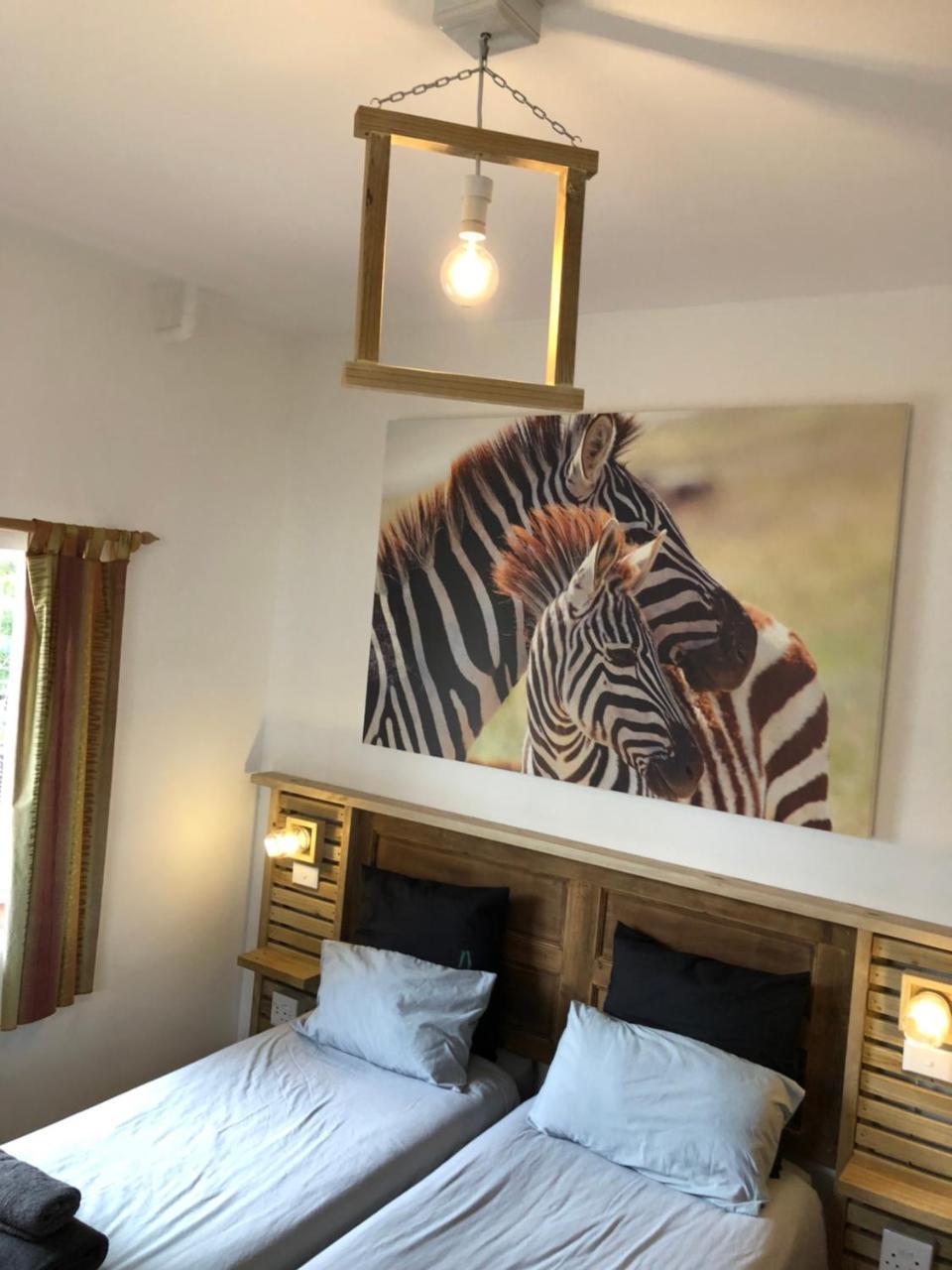 Albergo For Backpackers بليتنبيرغ باي المظهر الخارجي الصورة