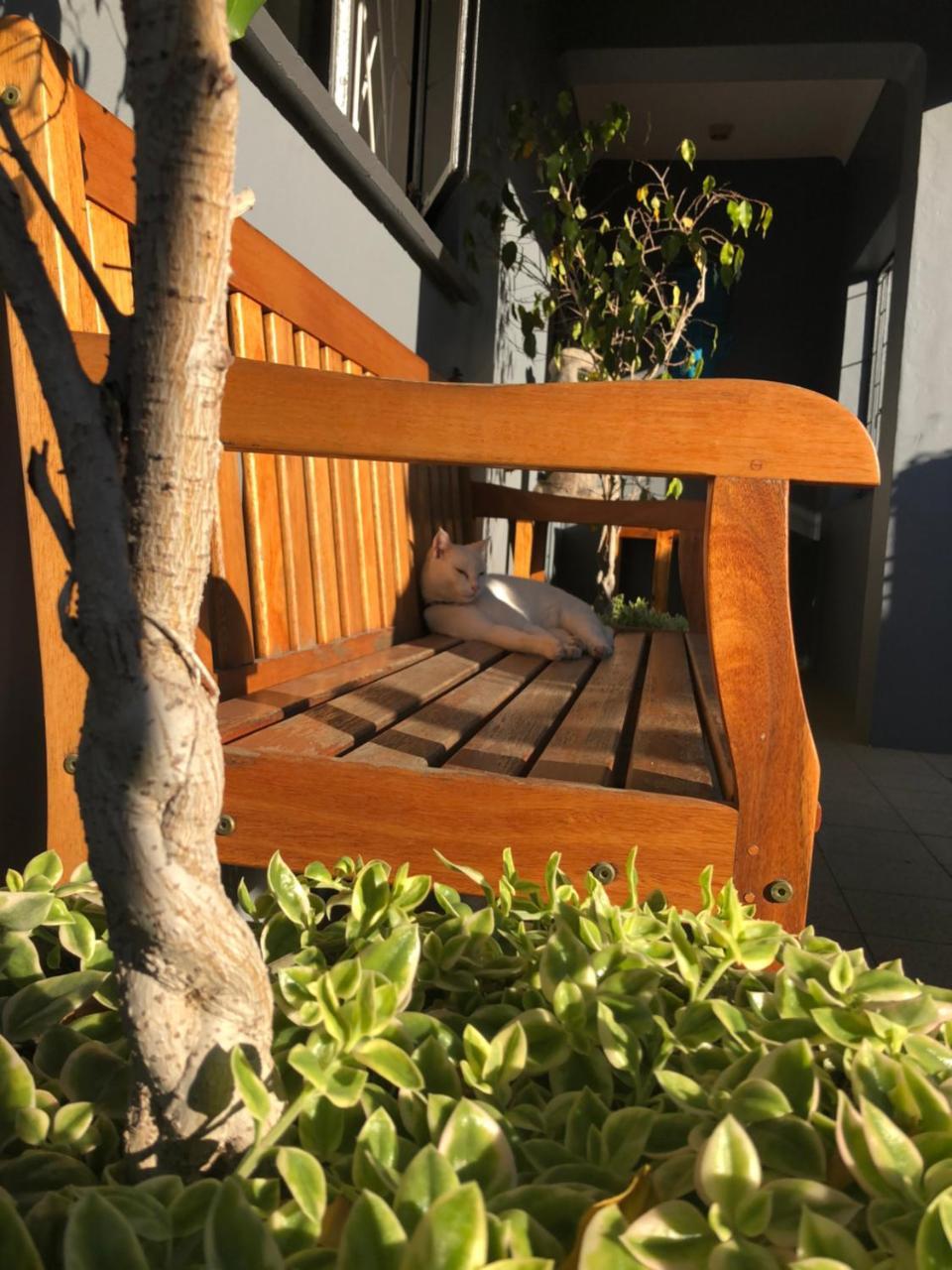 Albergo For Backpackers بليتنبيرغ باي المظهر الخارجي الصورة