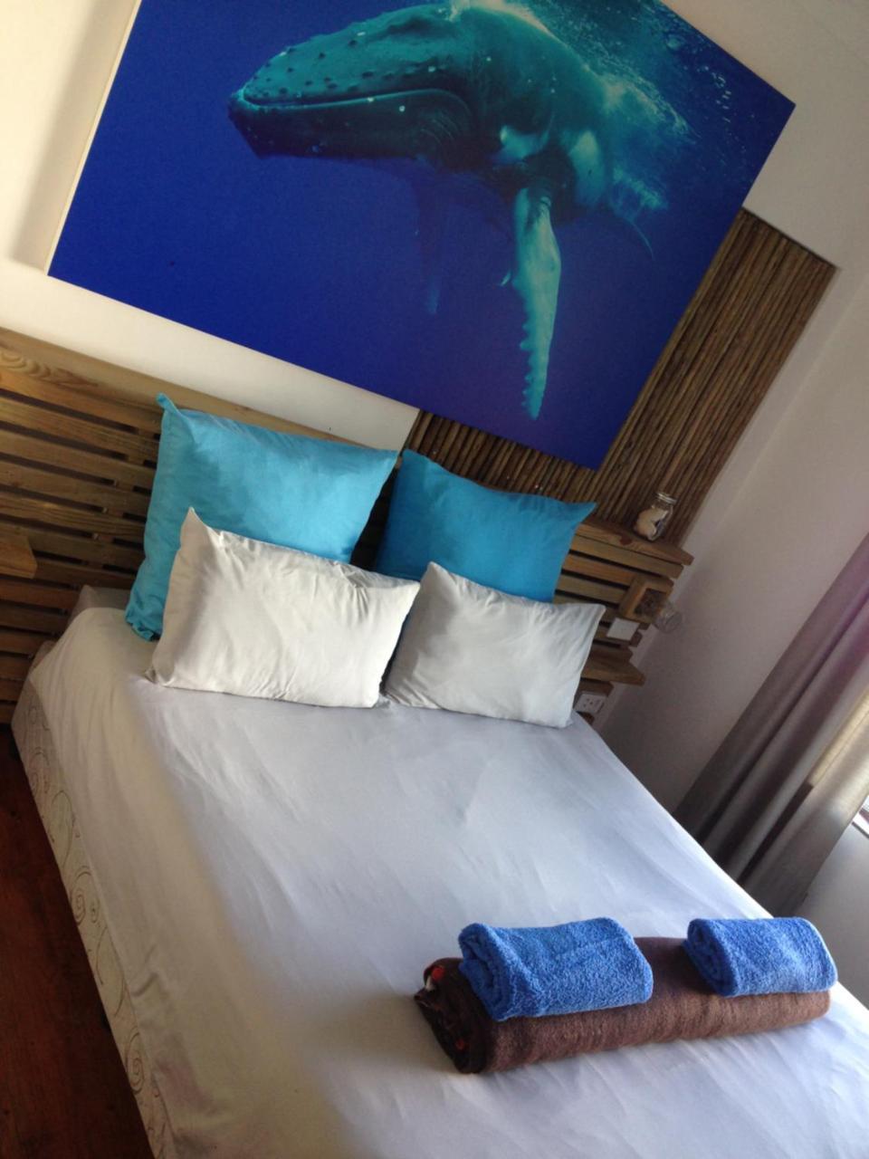 Albergo For Backpackers بليتنبيرغ باي المظهر الخارجي الصورة
