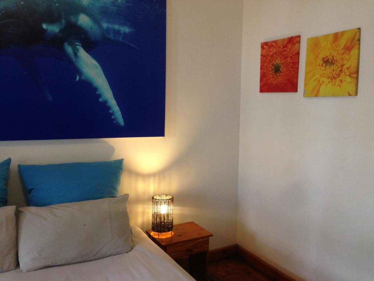Albergo For Backpackers بليتنبيرغ باي المظهر الخارجي الصورة