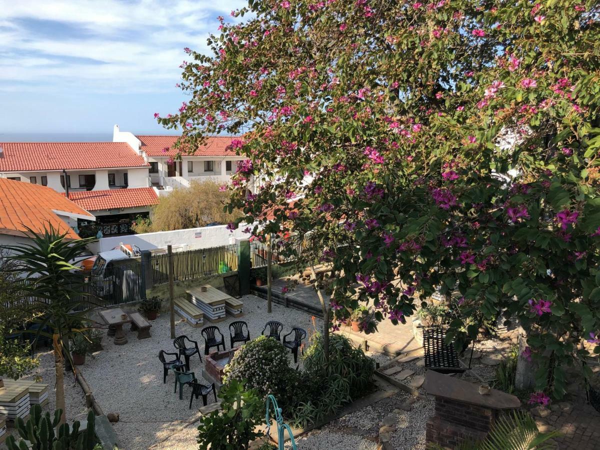 Albergo For Backpackers بليتنبيرغ باي المظهر الخارجي الصورة