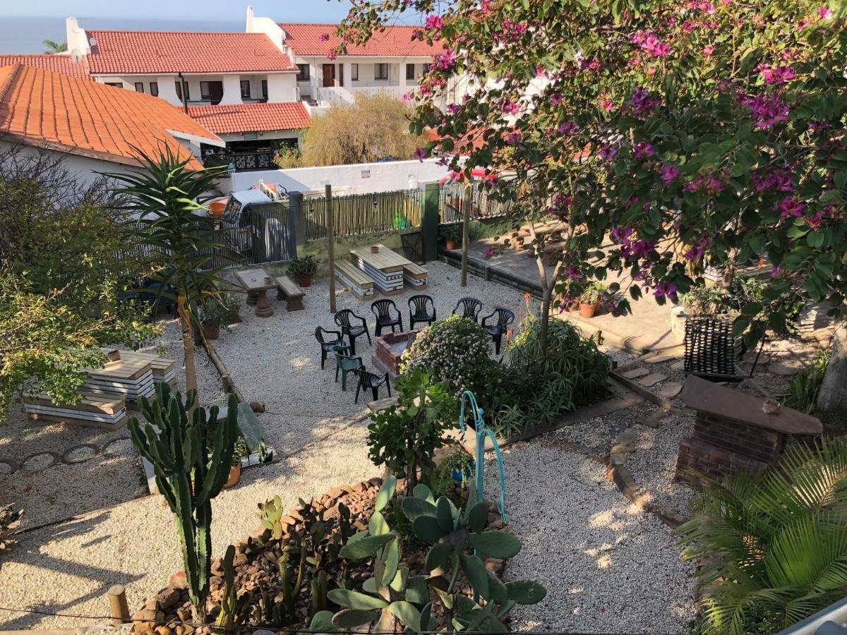 Albergo For Backpackers بليتنبيرغ باي المظهر الخارجي الصورة
